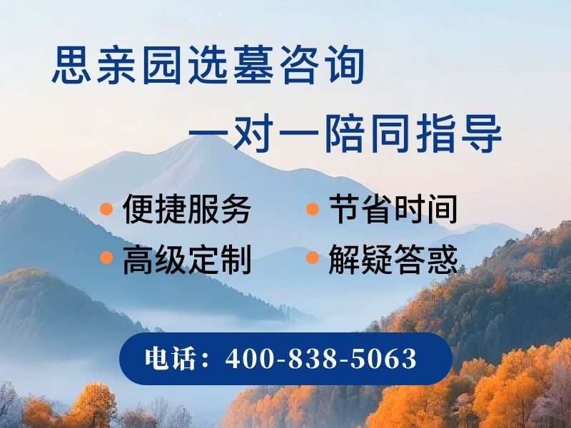 “思亲园陵园竹林小径风一吹沙沙响像在说话，绿意盎然映衬哀思”