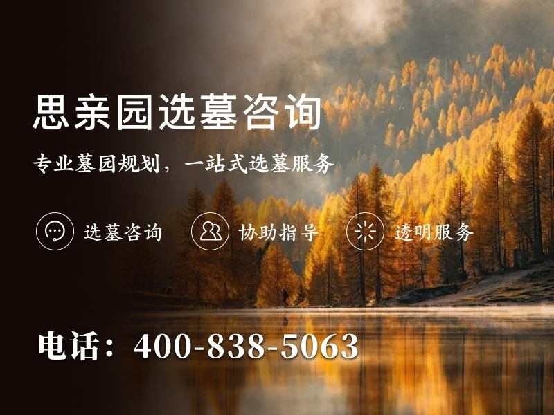 思亲园陵园春天的樱花大道是整个墓区最浪漫的地方，让生者回忆永恒的爱
