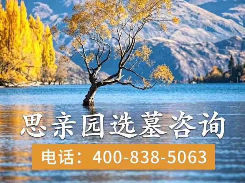 思亲园陵园指纹墓碑：指纹采集全流程解析